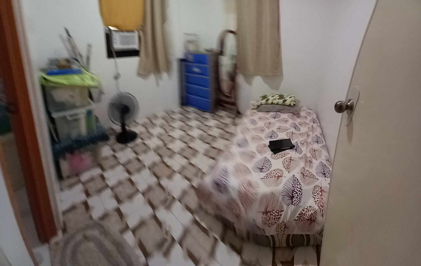 Kalamansi Farm Lot Rush Sale At Camiling, Tarlac