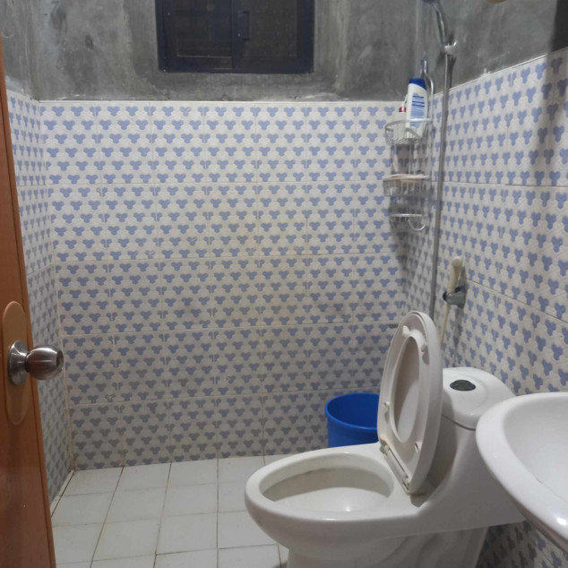 Kalamansi Farm Lot Rush Sale At Camiling, Tarlac