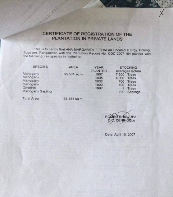 6.3-Hectare Mahogany Farm For Sale In Bugallon, Pangasinan