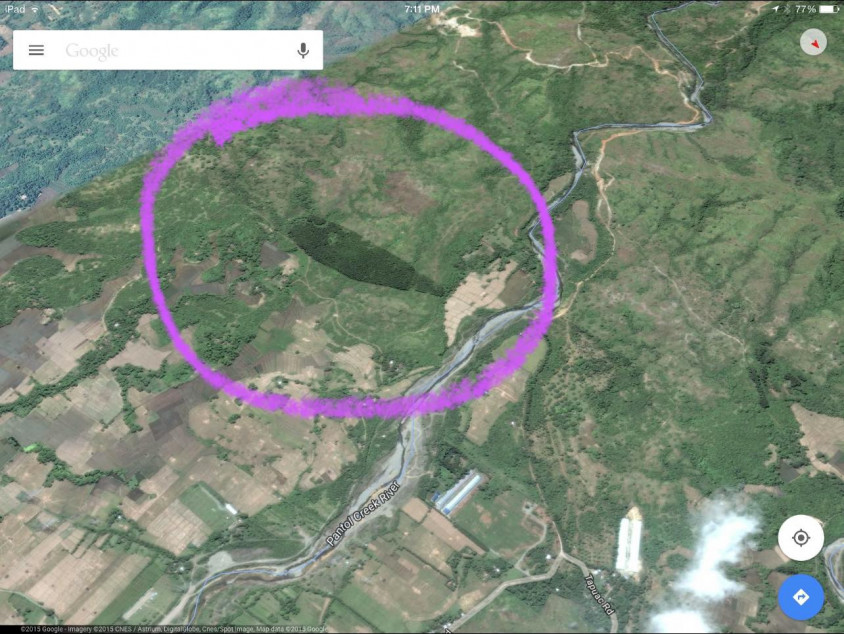 6.3-Hectare Mahogany Farm For Sale In Bugallon, Pangasinan