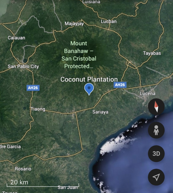 16 Hectare Coconut Planatation For Sale In Sariaya, Quezon
