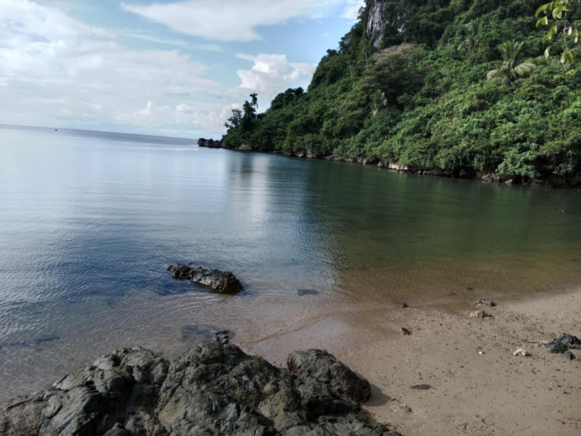 4.6 Hectares Beach Lot For Sale With 629 Trees In Caramoan, Camarines Sur