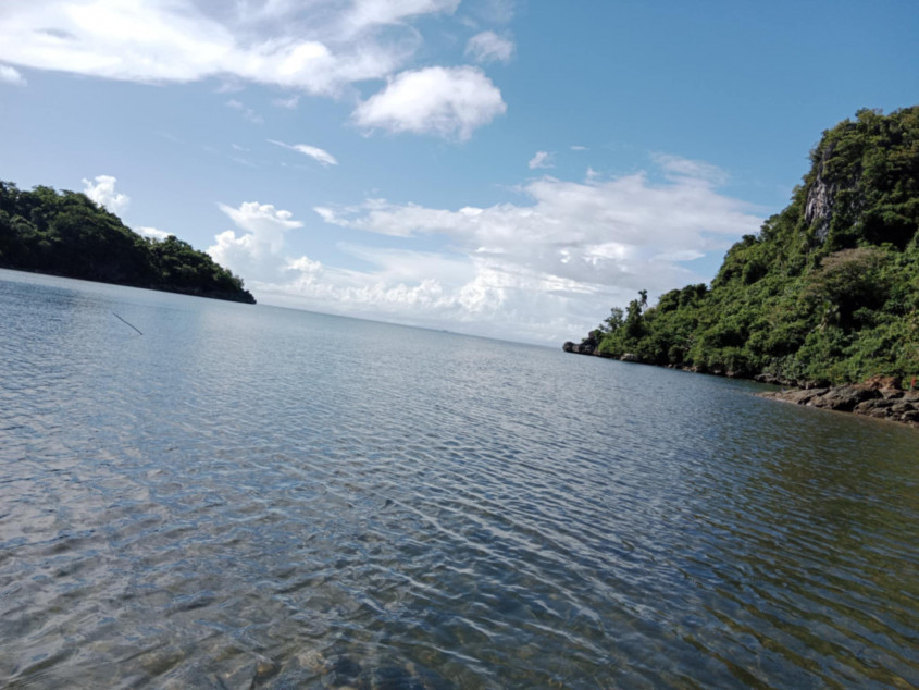 4.6 Hectares Beach Lot For Sale With 629 Trees In Caramoan, Camarines Sur