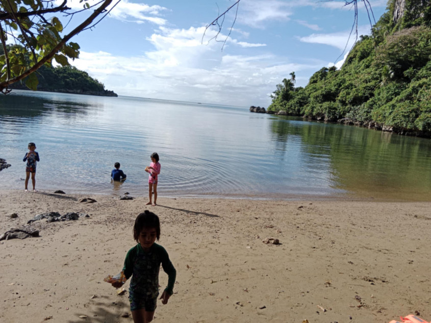 4.6 Hectares Beach Lot For Sale With 629 Trees In Caramoan, Camarines Sur