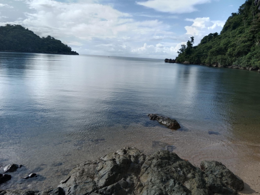 4.6 Hectares Beach Lot For Sale With 629 Trees In Caramoan, Camarines Sur