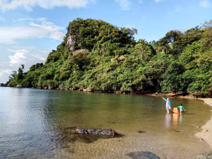 4.6 Hectares Beach Lot For Sale With 629 Trees In Caramoan, Camarines Sur