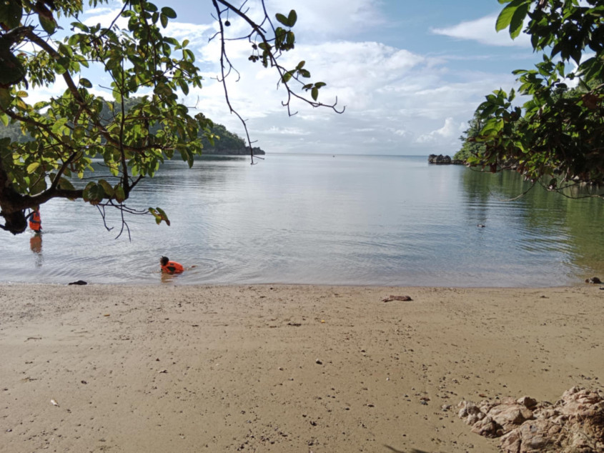 4.6 Hectares Beach Lot For Sale With 629 Trees In Caramoan, Camarines Sur