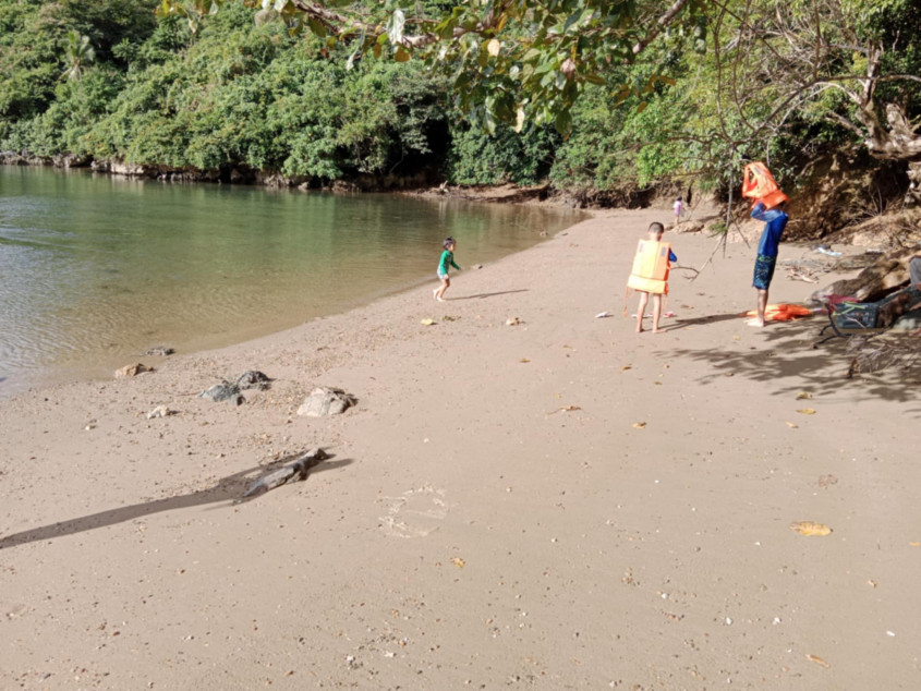 4.6 Hectares Beach Lot For Sale With 629 Trees In Caramoan, Camarines Sur