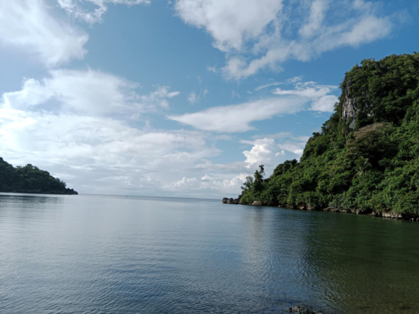 4.6 Hectares Beach Lot For Sale With 629 Trees In Caramoan, Camarines Sur