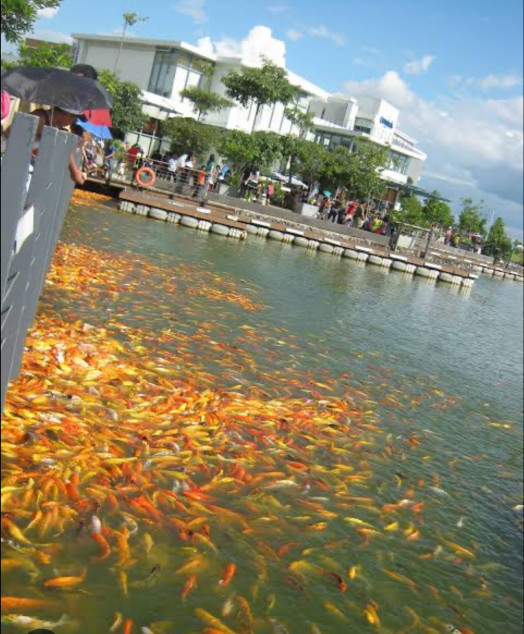 Fully Furnished House For Rent At Avida Southfield Settings Nuvali Calamba, Laguna