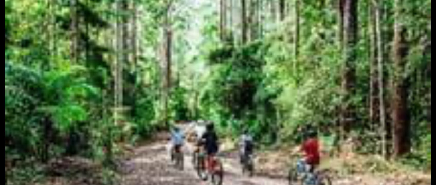 Fully Furnished House For Rent At Avida Southfield Settings Nuvali Calamba, Laguna