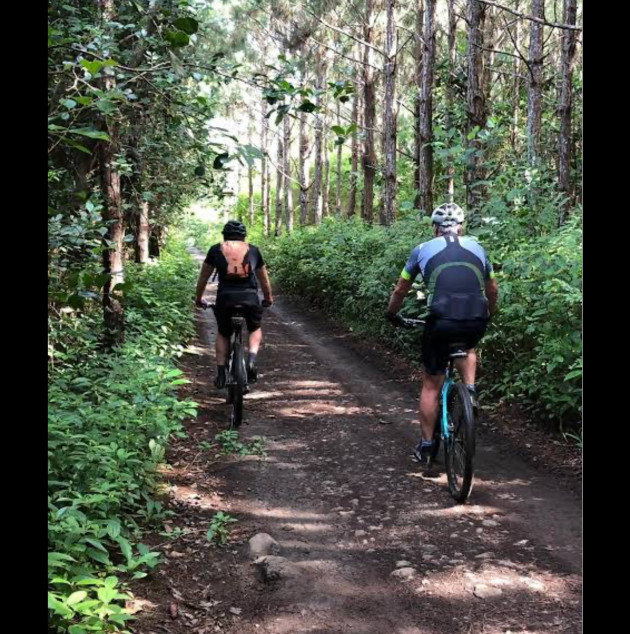 Fully Furnished House For Rent At Avida Southfield Settings Nuvali Calamba, Laguna