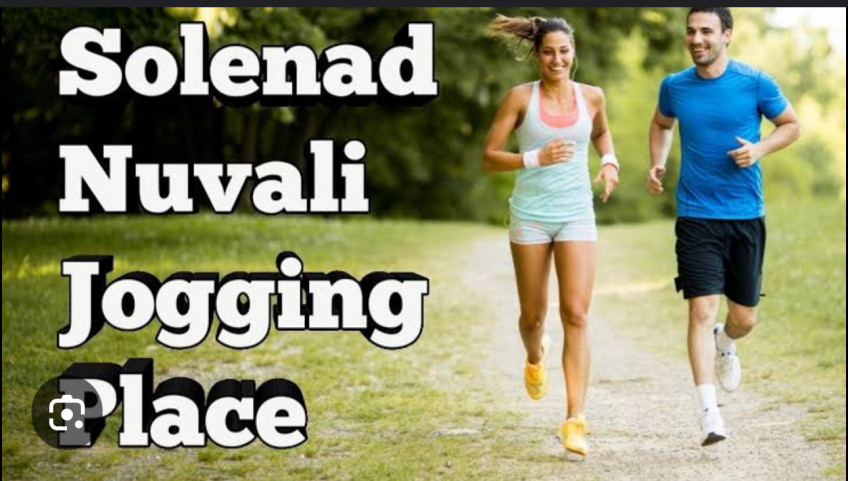 Fully Furnished House For Rent At Avida Southfield Settings Nuvali Calamba, Laguna