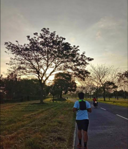 Fully Furnished House For Rent At Avida Southfield Settings Nuvali Calamba, Laguna