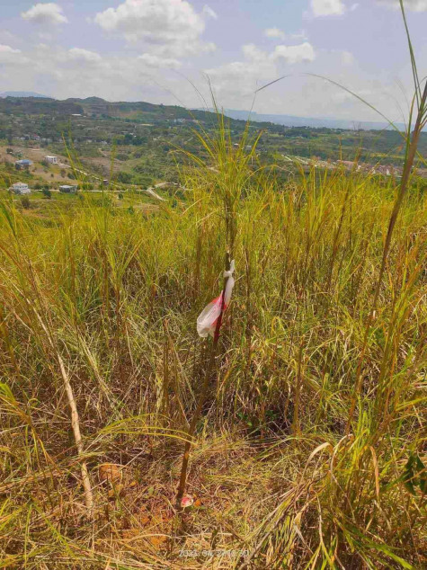 For Sale 300sqm Eastridge Lot with Expansive City and Lake View in Binangonan Rizal