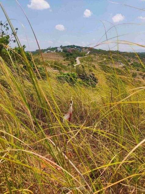 For Sale 300sqm Eastridge Lot with Expansive City and Lake View in Binangonan Rizal