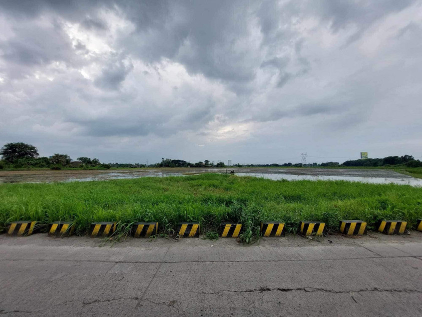For Sale 1- Hectare Lot in Balagtas, Bulacan