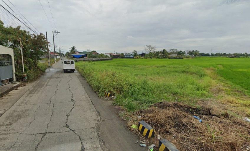 For Sale 1- Hectare Lot in Balagtas, Bulacan