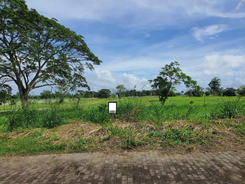 For Sale Prime 503 sqm Residential Lot in Riomonte, Nuvali, Calamba, Laguna