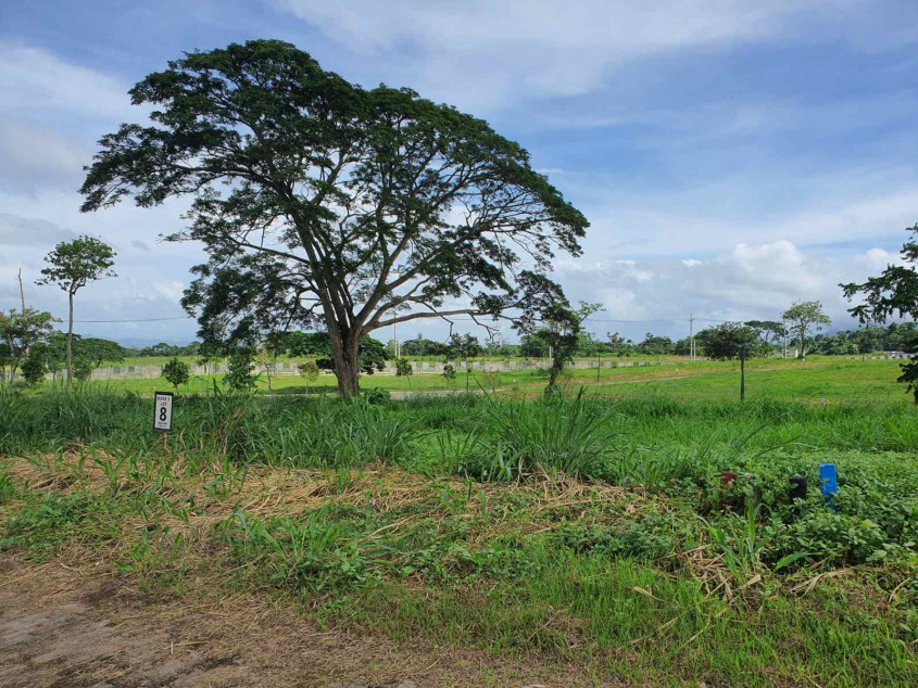 For Sale Prime 503 sqm Residential Lot in Riomonte, Nuvali, Calamba, Laguna