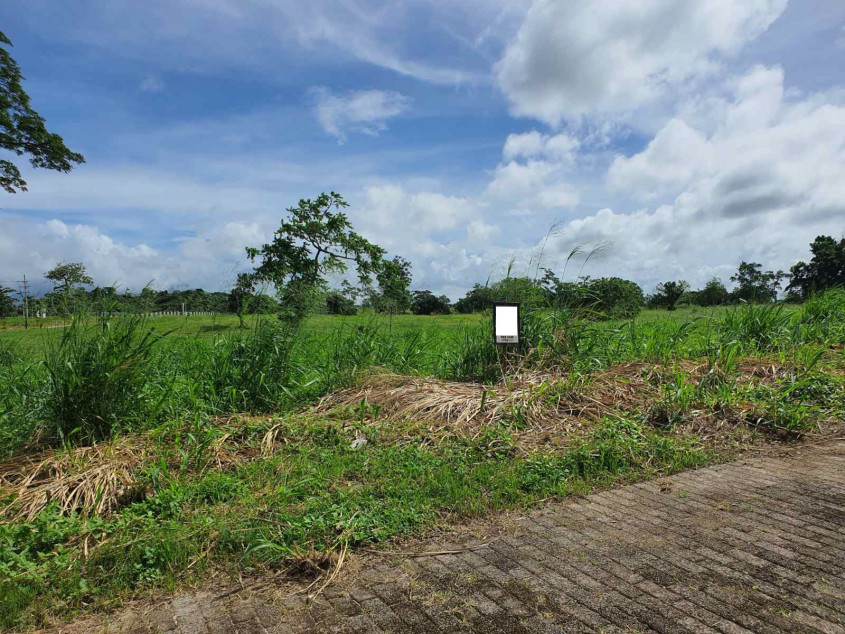 For Sale Prime 503 sqm Residential Lot in Riomonte, Nuvali, Calamba, Laguna