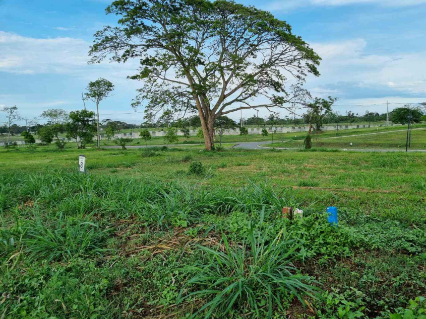 For Sale Prime 503 sqm Residential Lot in Riomonte, Nuvali, Calamba, Laguna