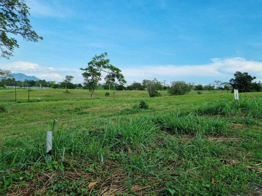For Sale Prime 503 sqm Residential Lot in Riomonte, Nuvali, Calamba, Laguna