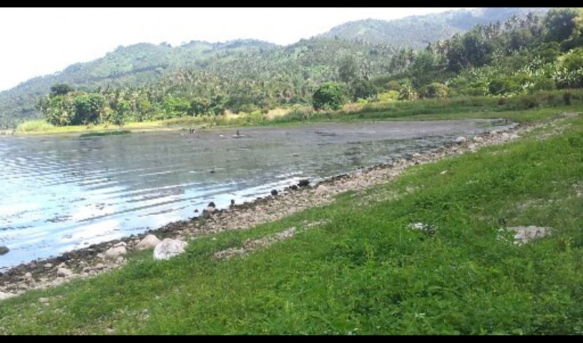 81,010 SQM Lake Waterfront Farm Resort In Naujan, Oriental Mindoro