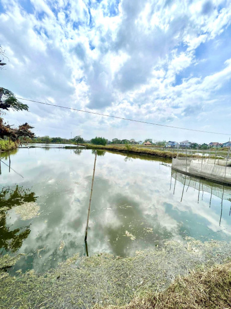 For Sale 8,520 SQM Agricultural Land With Fishpond In Hagonoy, Bulacan