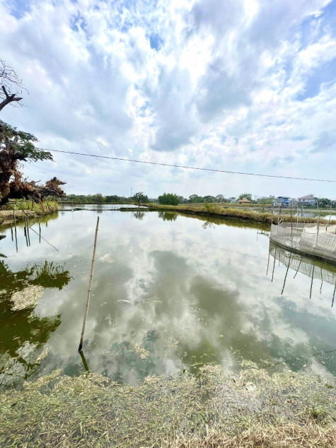 For Sale 8,520 SQM Agricultural Land With Fishpond In Hagonoy, Bulacan