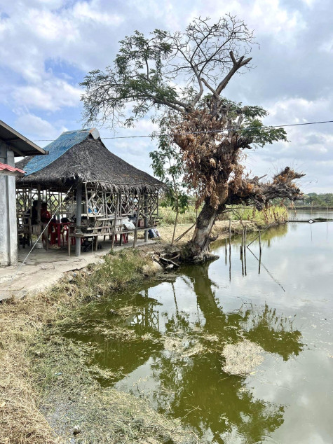 For Sale 8,520 SQM Agricultural Land With Fishpond In Hagonoy, Bulacan