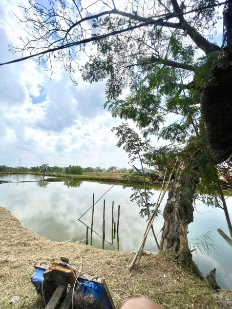 For Sale 8,520 SQM Agricultural Land With Fishpond In Hagonoy, Bulacan