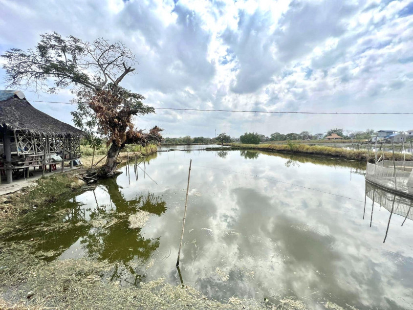 For Sale 8,520 SQM Agricultural Land With Fishpond In Hagonoy, Bulacan