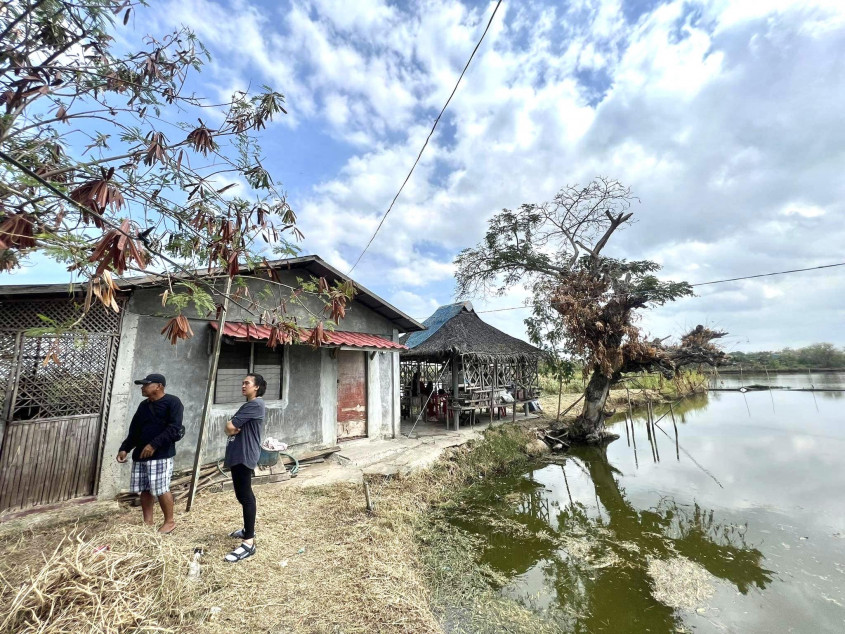 For Sale 8,520 SQM Agricultural Land With Fishpond In Hagonoy, Bulacan