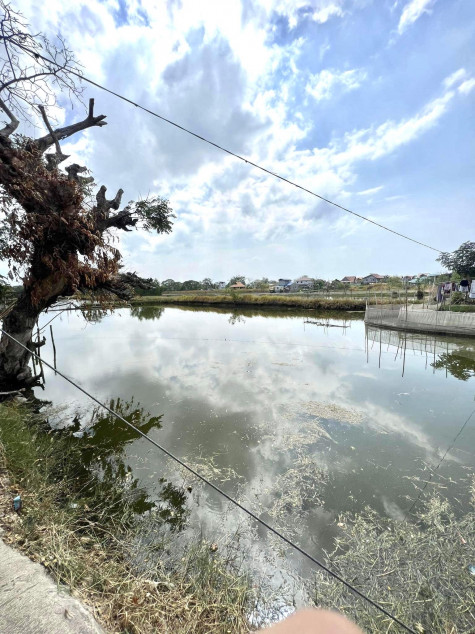 For Sale 8,520 SQM Agricultural Land With Fishpond In Hagonoy, Bulacan