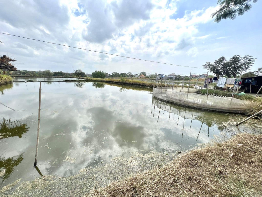 For Sale 8,520 SQM Agricultural Land With Fishpond In Hagonoy, Bulacan