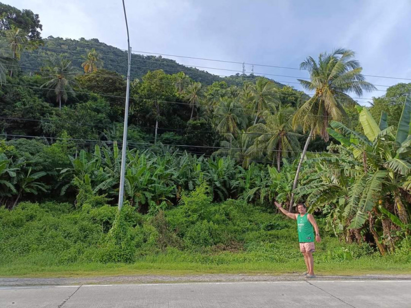 2,800 SQM Lot For Sale In Garcia Hernandez, Bohol