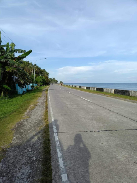 2,800 SQM Lot For Sale In Garcia Hernandez, Bohol