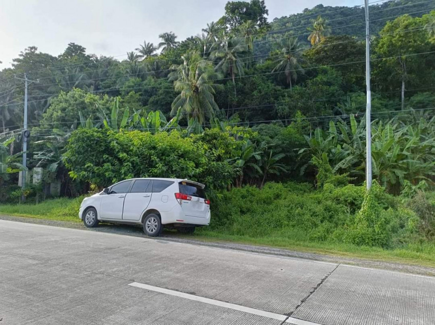 2,800 SQM Lot For Sale In Garcia Hernandez, Bohol