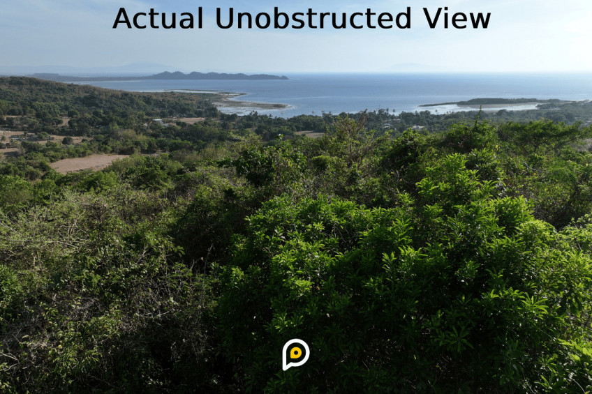 385 SQM Lot For Sale At Newport Hills Lian, Batangas