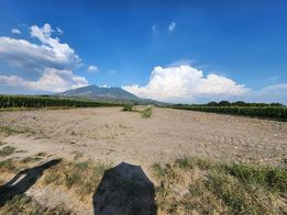 4,254 SQM Farm Lot For Sale In Arayat, Pampanga