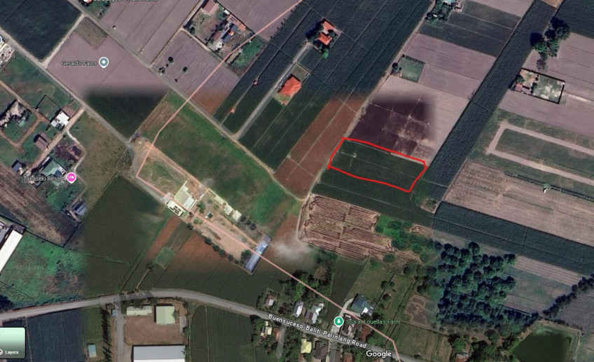 4,254 SQM Farm Lot For Sale In Arayat, Pampanga