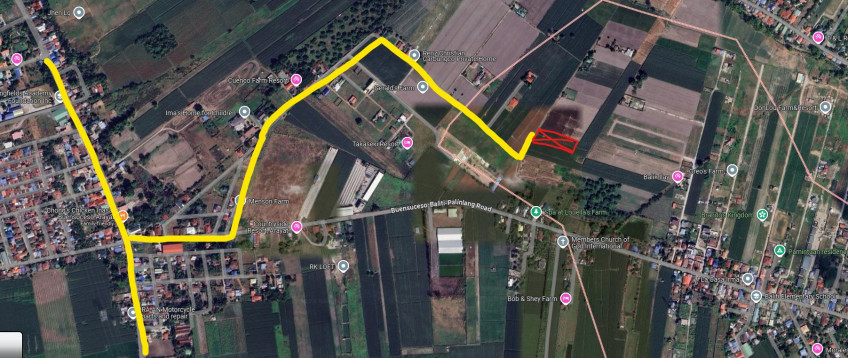 4,254 SQM Farm Lot For Sale In Arayat, Pampanga