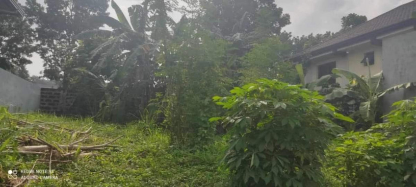 For Sale 241 SQM Lot At Mission Hills Sta. Isabel (In Front Of PAREF Rosehill School)