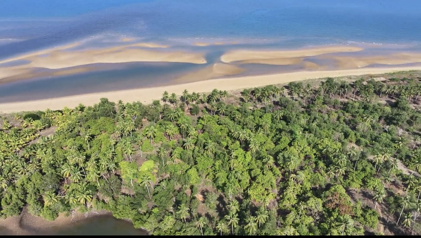 4,000 SQM Residential Beachfront Lot With White Beach And Sand Bar In Dumaran, Palawan