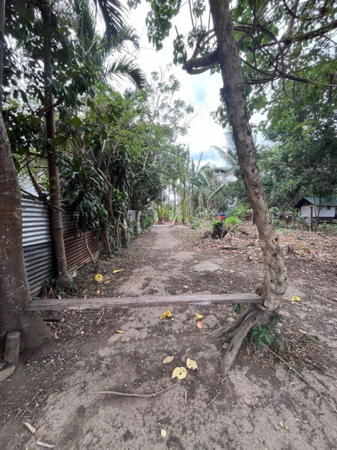 890 Sqm Residential Lot For Sale In San Pablo City – Perfect For Your Dream Home