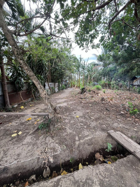 890 Sqm Residential Lot For Sale In San Pablo City – Perfect For Your Dream Home