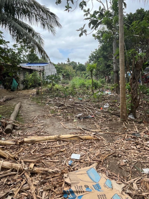 890 Sqm Residential Lot For Sale In San Pablo City – Perfect For Your Dream Home