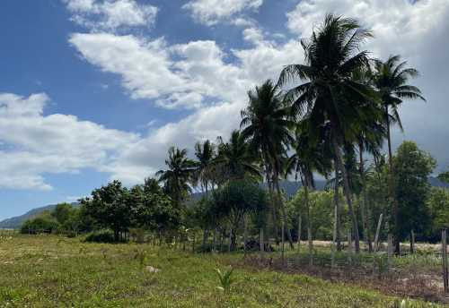 4,000 SQM Residential Beachfront Lot With White Beach And Sand Bar In Dumaran, Palawan