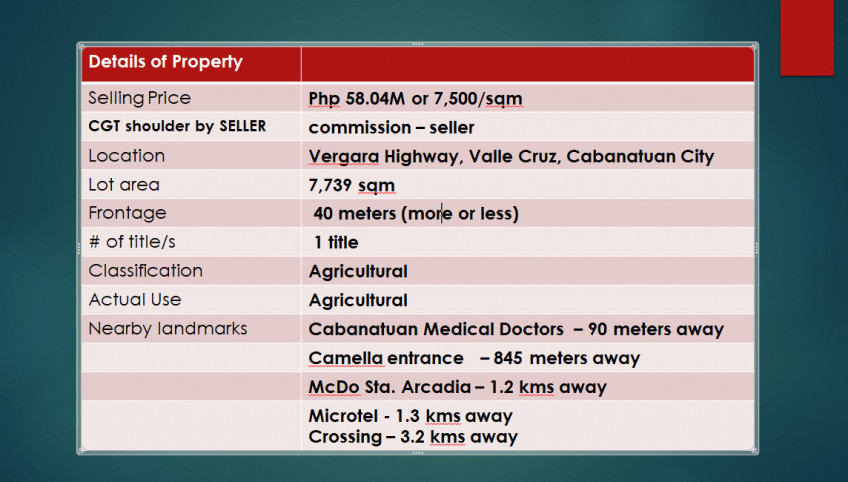 7,739 SQM Lot For Sale Along Vergara Highway Near Camella Cabanatuan City, Nueva Ecija